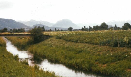 Neunerkanal Lustenau © Albert Hämmerle Neunerkanal Lustenau © Albert Hämmerle