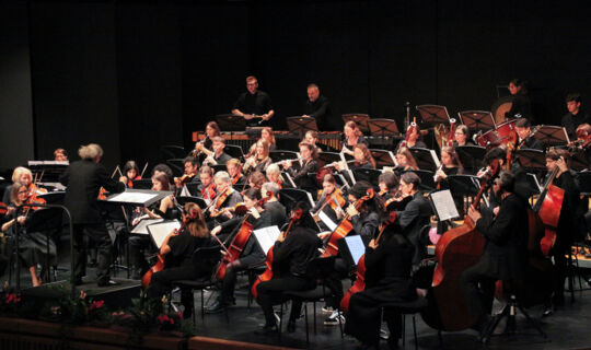 NEUJAHRSKONZERT MIT DER SINFONIETTA LUSTENAU@Gerlinde KÃ¶nig