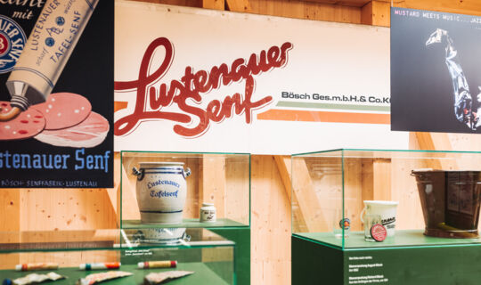 SENFEREI_AUSSTELLUNG_250520_076@A-Lamprecht SENFEREI_AUSSTELLUNG_250520_076@A-Lamprecht