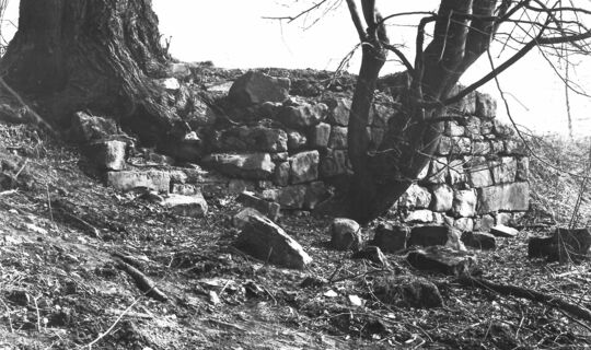 Br 13 9 Alte Widnauer Brücke Lustenau Br 13 9 Alte Widnauer Brücke Lustenau