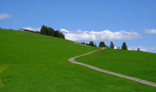 Vom Bödele zum Brüggele Vom Bödele zum Brüggele