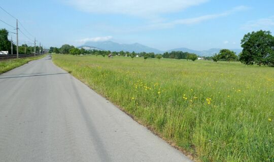 Christina Spritzendorfer Der Radweg entlang der Bahnschienen