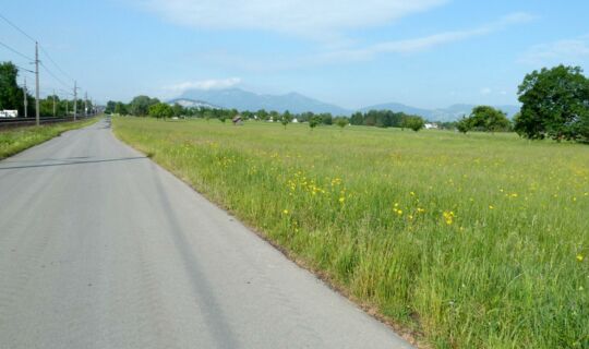 Christina Spritzendorfer Der Radweg entlang der Bahnschienen