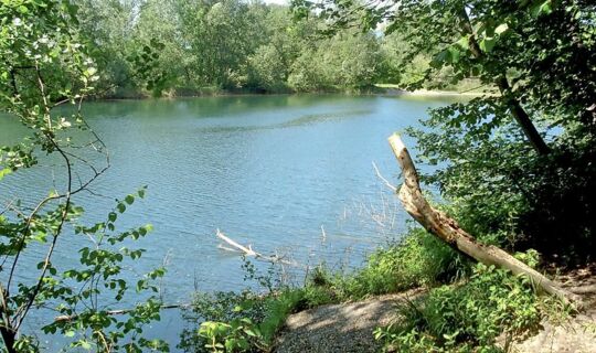 Vorarlberg Tourismus Alter Rhein zwischen Schmitterbrücke und Wiesenrain