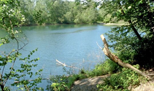 Vorarlberg Tourismus Alter Rhein zwischen Schmitterbrücke und Wiesenrain