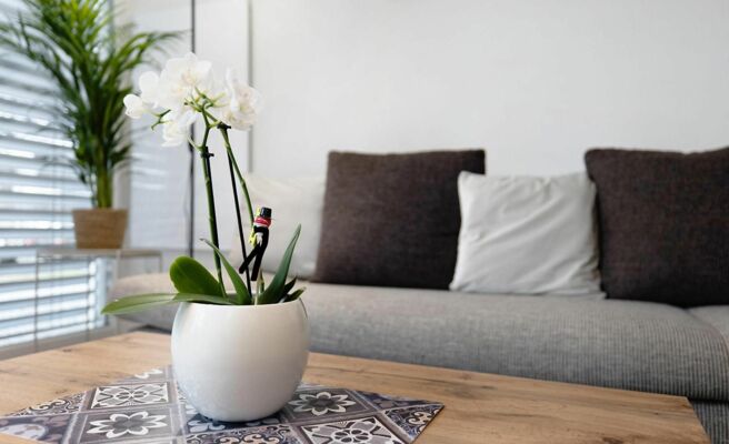 Ferienwohnung KÃ¶nig