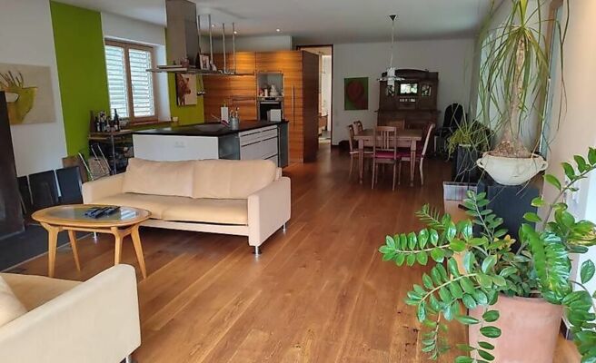 Loft mit Kamin und Whirlpool
