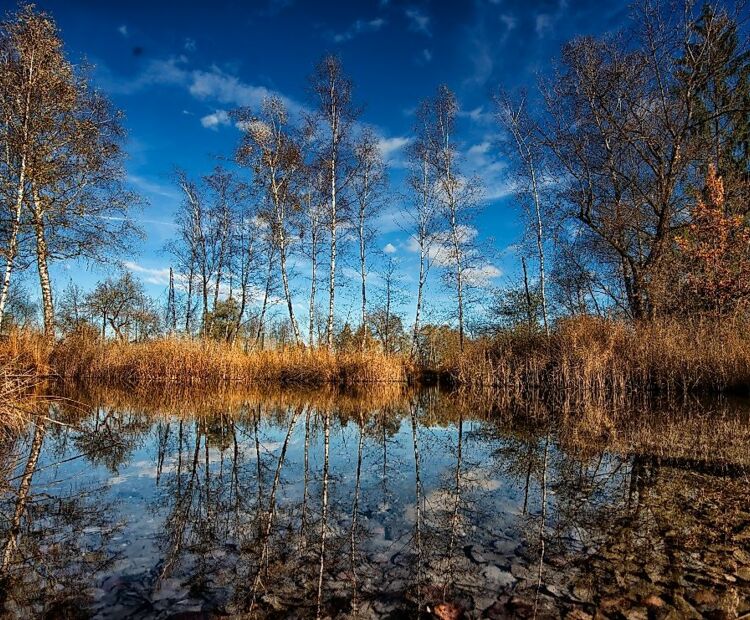 Stiplovsek Dietmar .jpg.jpeg