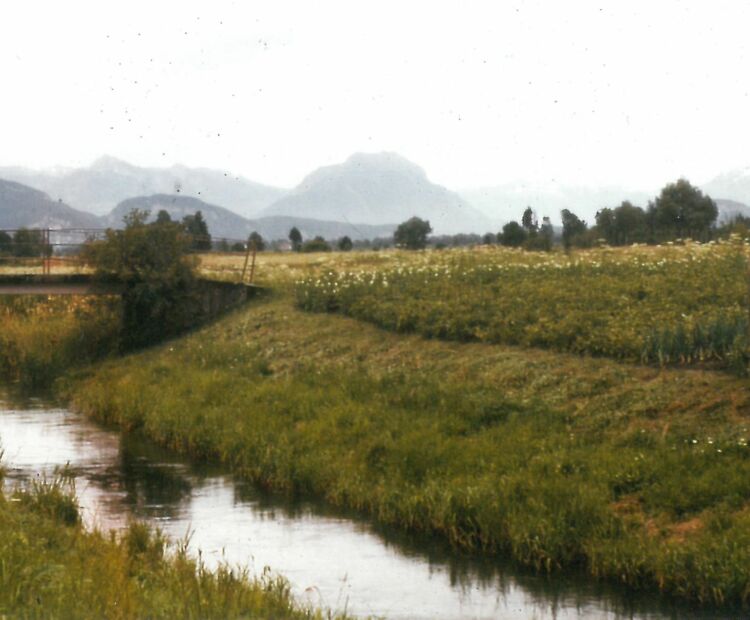 Neunerkanal Lustenau © Albert Hämmerle Neunerkanal Lustenau © Albert Hämmerle