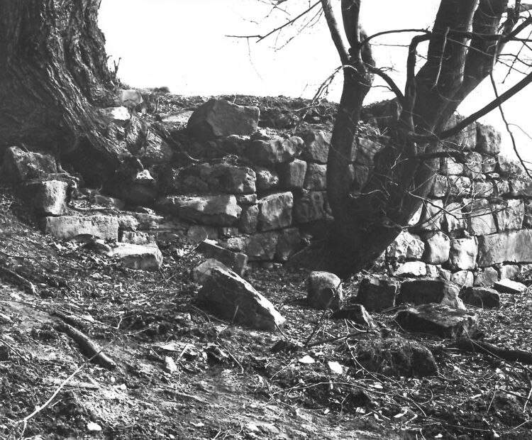 Br 13 9 Alte Widnauer Brücke Lustenau Br 13 9 Alte Widnauer Brücke Lustenau