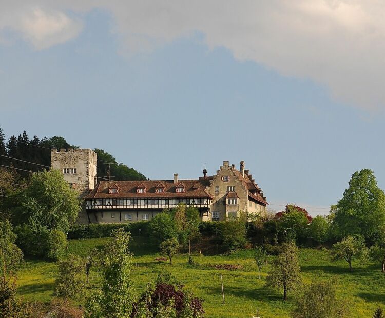 Friedrich Böhringer Schloss Wolfurt
