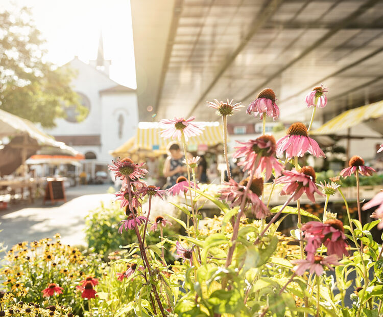 2021_Kräutermarkt@Lukas Hämmerle (45).jpg 2021_Kräutermarkt@Lukas Hämmerle (45).jpg