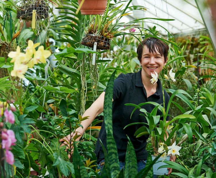 MÃ¼llis_Blumenshop_2014_MarcelHagen