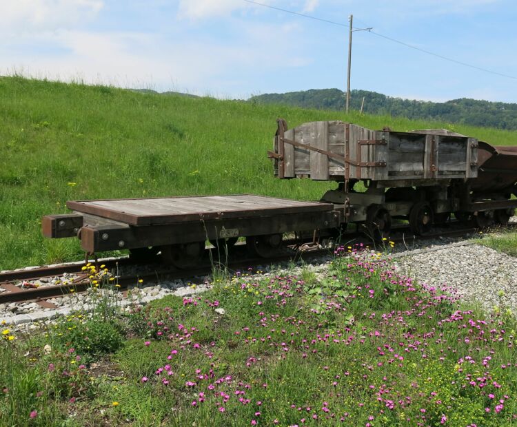 Denkmal Dienstbahn Lustenau Denkmal Dienstbahn Lustenau
