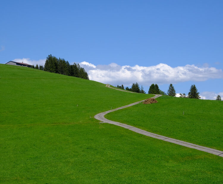 Vom Bödele zum Brüggele Vom Bödele zum Brüggele