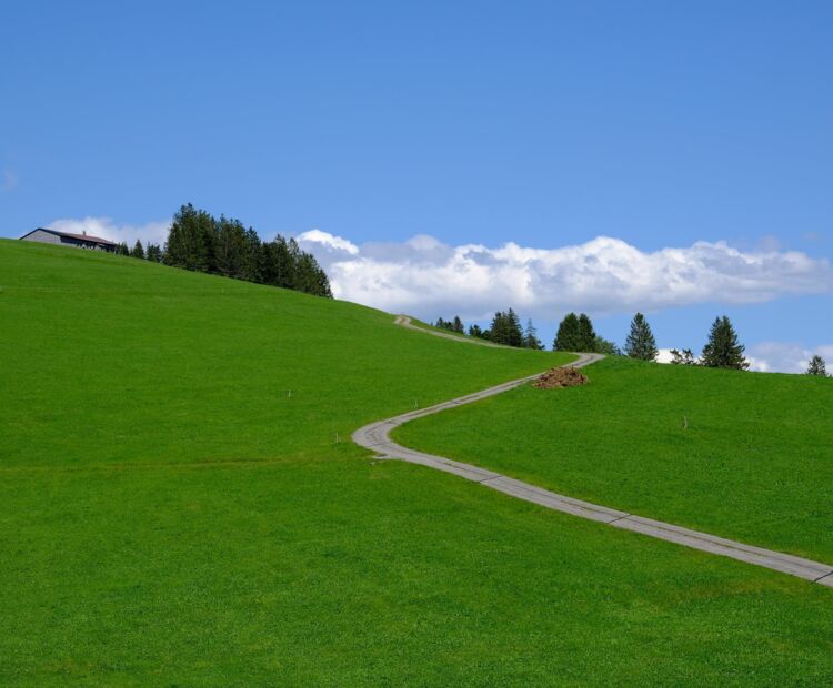 Vom Bödele zum Brüggele Vom Bödele zum Brüggele