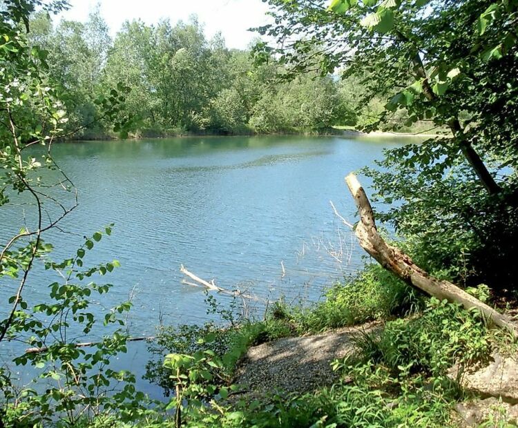 Vorarlberg Tourismus Alter Rhein zwischen Schmitterbrücke und Wiesenrain