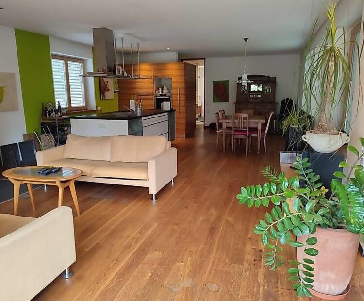 Loft mit Kamin und Whirlpool Loft mit Kamin und Whirlpool