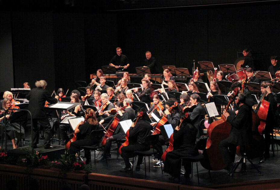 NEUJAHRSKONZERT MIT DER SINFONIETTA LUSTENAU@Gerlinde König NEUJAHRSKONZERT MIT DER SINFONIETTA LUSTENAU@Gerlinde König