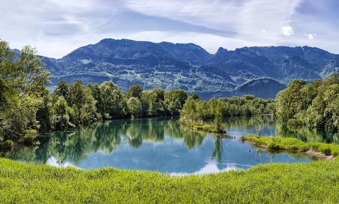 Alter Rhein Mai 2021_©Lukas Hämmerle (3) (1)