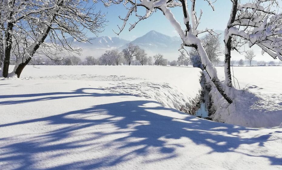 Ferienhaus HÃ¤mmerleÂ´s