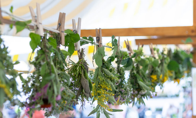 KrÃ¤utermarktÂ©Mike Siblik