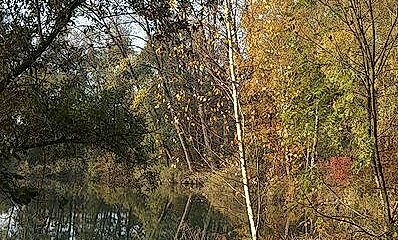 Auch im Herbst ist es am Alten Rhein schÃ¶n