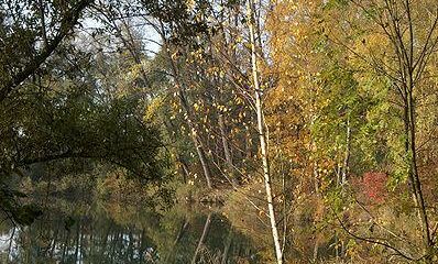 Friedrich Böhringer Auch im Herbst ist es am Alten Rhein schön