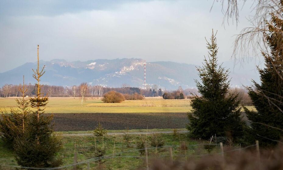 Riedwohnung 1- Lustenau