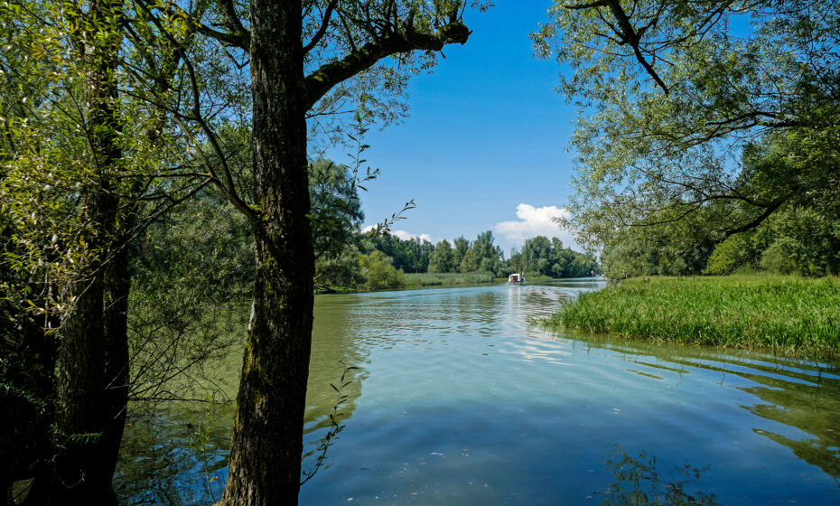 Alter Rhein Alter Rhein