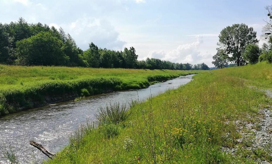 Ferienhaus Hämmerle´s Ferienhaus Hämmerle´s