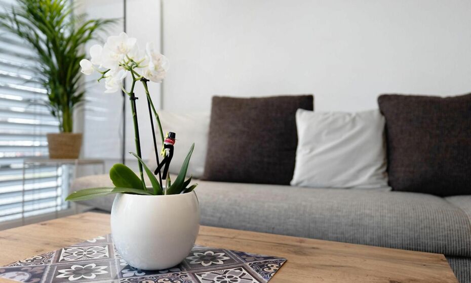 Ferienwohnung KÃ¶nig