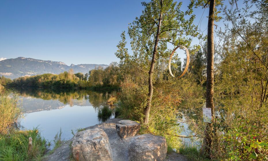 Alter Rhein Lustenau Alter Rhein Lustenau