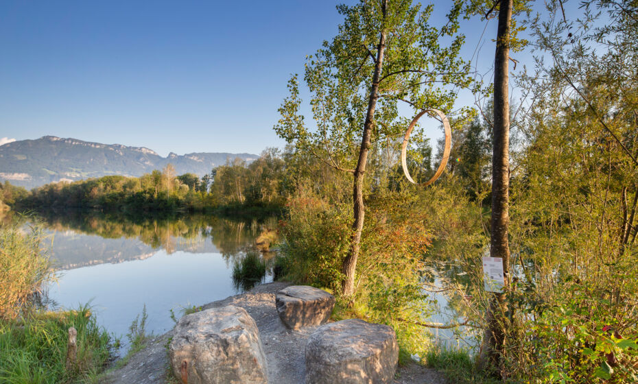 Alter Rhein Lustenau Alter Rhein Lustenau