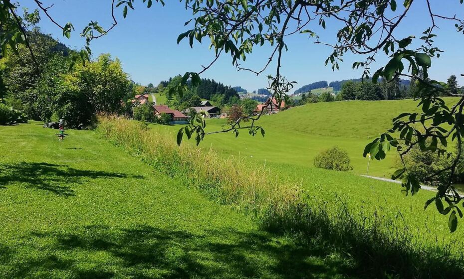 Ferienhaus Hämmerle´s Ferienhaus Hämmerle´s