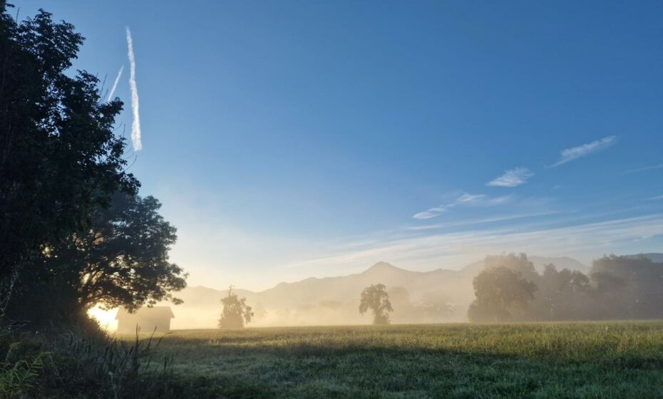 Tiny House in schöner Lage Tiny House in schöner Lage
