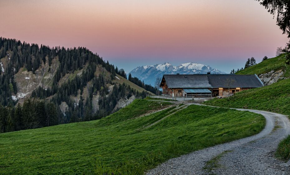 Schöner Mann_2022@Lukas Hämmerle4