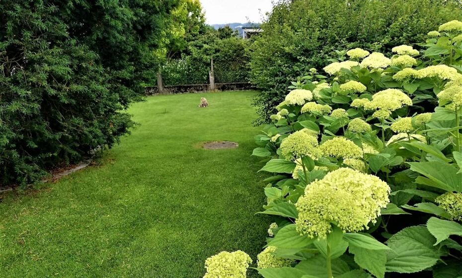 Ferienhaus HÃ¤mmerleÂ´s