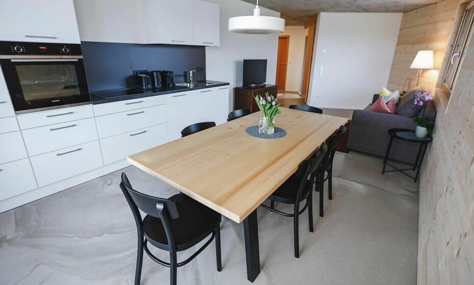 BOUTIQUE APARTMENTS LUSTENAU Nachhaltige Kühlung über Erdsonde und Fussbodenkühlung BOUTIQUE APARTMENTS LUSTENAU Nachhaltige Kühlung über Erdsonde und Fussbodenkühlung