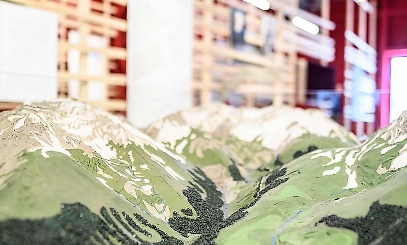 Rhein-Schauen-Lustenau 04 (c)MATTHIAS_RHOMBERG