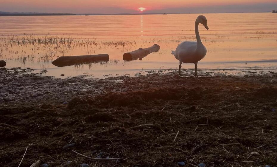 Ferienhaus Hämmerle´s Ferienhaus Hämmerle´s