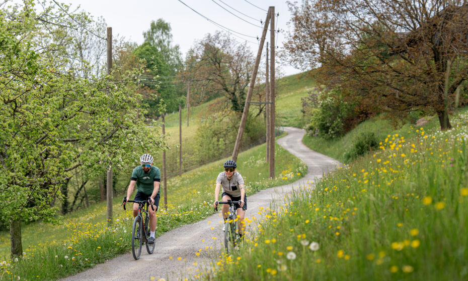 Gravelbike Dornbirn